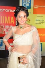 at Micromax Siima day 1 red carpet on 12th Sept 2014 (502)_54153e92dcebe.JPG
