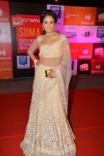at Micromax Siima day 1 red carpet on 12th Sept 2014 (503)_54153e94490fd.JPG