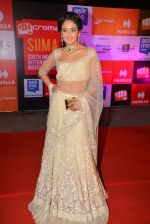 at Micromax Siima day 1 red carpet on 12th Sept 2014 (504)_54153e95d4bb7.JPG