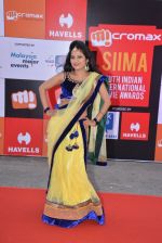 at Micromax Siima day 1 red carpet on 12th Sept 2014 (55)_54153c3de9ca2.JPG