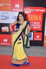 at Micromax Siima day 1 red carpet on 12th Sept 2014 (57)_54153c40ba18e.JPG