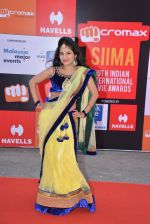 at Micromax Siima day 1 red carpet on 12th Sept 2014 (58)_54153c421dd00.JPG