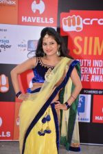 at Micromax Siima day 1 red carpet on 12th Sept 2014 (59)_54153c4392b4c.JPG