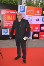 at Micromax Siima day 1 red carpet on 12th Sept 2014 (97)_54153c4c12bcd.JPG