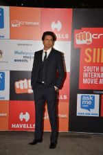 on day 2 of Micromax SIIMA Awards red carpet on 13th Sept 2014 (1007)_541548668d590.JPG