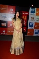 on day 2 of Micromax SIIMA Awards red carpet on 13th Sept 2014 (1053)_541548a5ef86f.JPG