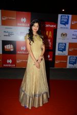 on day 2 of Micromax SIIMA Awards red carpet on 13th Sept 2014 (1058)_541548ad0c180.JPG