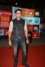 on day 2 of Micromax SIIMA Awards red carpet on 13th Sept 2014 (1110)_541548f52422a.JPG