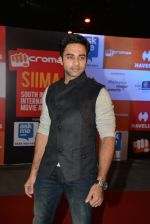 on day 2 of Micromax SIIMA Awards red carpet on 13th Sept 2014 (1113)_541548f9444e6.JPG