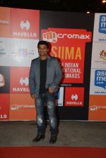 on day 2 of Micromax SIIMA Awards red carpet on 13th Sept 2014 (1116)_541548fd506fc.JPG