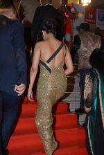on day 2 of Micromax SIIMA Awards red carpet on 13th Sept 2014 (1172)_5415494f0e249.JPG