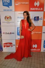 on day 2 of Micromax SIIMA Awards red carpet on 13th Sept 2014 (1180)_5415495a77644.JPG