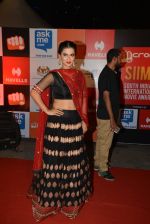 on day 2 of Micromax SIIMA Awards red carpet on 13th Sept 2014 (150)_541544f95970d.JPG