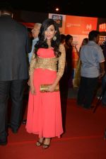 on day 2 of Micromax SIIMA Awards red carpet on 13th Sept 2014 (185)_5415453cc70df.JPG