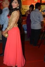 on day 2 of Micromax SIIMA Awards red carpet on 13th Sept 2014 (188)_541545436bf44.JPG