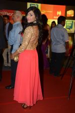 on day 2 of Micromax SIIMA Awards red carpet on 13th Sept 2014 (189)_54154544de242.JPG