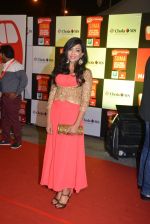 on day 2 of Micromax SIIMA Awards red carpet on 13th Sept 2014 (197)_541545567cf5c.JPG