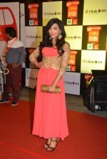 on day 2 of Micromax SIIMA Awards red carpet on 13th Sept 2014 (200)_5415455d05d27.JPG
