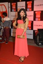 on day 2 of Micromax SIIMA Awards red carpet on 13th Sept 2014 (201)_5415455f0a73e.JPG