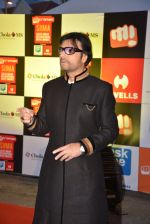 on day 2 of Micromax SIIMA Awards red carpet on 13th Sept 2014 (23)_54154487a3440.JPG