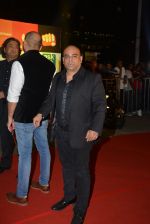 on day 2 of Micromax SIIMA Awards red carpet on 13th Sept 2014 (233)_54154583601db.JPG