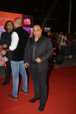 on day 2 of Micromax SIIMA Awards red carpet on 13th Sept 2014 (234)_54154584c99ef.JPG