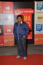 on day 2 of Micromax SIIMA Awards red carpet on 13th Sept 2014 (236)_5415458787b4f.JPG