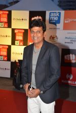 on day 2 of Micromax SIIMA Awards red carpet on 13th Sept 2014 (29)_5415448ff189e.JPG