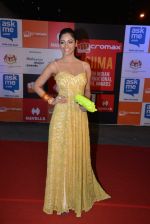 on day 2 of Micromax SIIMA Awards red carpet on 13th Sept 2014 (316)_541545f8555fc.JPG