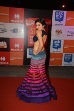 on day 2 of Micromax SIIMA Awards red carpet on 13th Sept 2014 (371)_54154638c3731.JPG