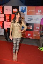 on day 2 of Micromax SIIMA Awards red carpet on 13th Sept 2014 (40)_5415449f55635.JPG
