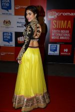 on day 2 of Micromax SIIMA Awards red carpet on 13th Sept 2014 (560)_541546d595ce7.JPG
