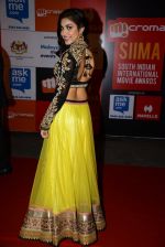 on day 2 of Micromax SIIMA Awards red carpet on 13th Sept 2014 (561)_541546d6f1788.JPG