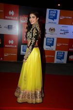 on day 2 of Micromax SIIMA Awards red carpet on 13th Sept 2014 (570)_541546e35c3dd.JPG