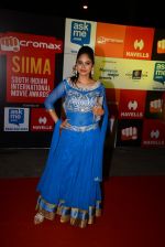on day 2 of Micromax SIIMA Awards red carpet on 13th Sept 2014 (579)_541546ed3b769.JPG