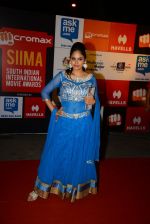 on day 2 of Micromax SIIMA Awards red carpet on 13th Sept 2014 (580)_541546ee90159.JPG