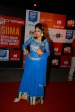 on day 2 of Micromax SIIMA Awards red carpet on 13th Sept 2014 (581)_541546efe50b3.JPG