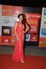 on day 2 of Micromax SIIMA Awards red carpet on 13th Sept 2014 (765)_541547c08dec1.JPG