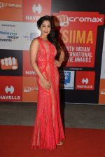 on day 2 of Micromax SIIMA Awards red carpet on 13th Sept 2014 (767)_541547c346dd1.JPG
