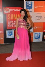 on day 2 of Micromax SIIMA Awards red carpet on 13th Sept 2014 (856)_54154813d1bcd.JPG