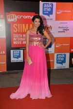 on day 2 of Micromax SIIMA Awards red carpet on 13th Sept 2014 (857)_541548152f3b7.JPG