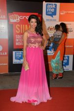 on day 2 of Micromax SIIMA Awards red carpet on 13th Sept 2014 (860)_54154819335d8.JPG