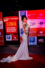 at Micromax SIIMA 2014 on 12th Sept 2014 (19)_54168b340bd52.jpg