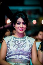 at Micromax SIIMA 2014 on 12th Sept 2014 (92)_54168ba5ee3bf.jpg