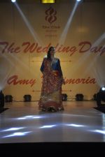 Vahbbiz Dorabjee at Wedding Show by Amy Billiomoria in Mumbai on 28th Sept 2014 (416)_5429990f5936c.JPG
