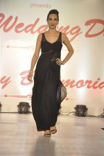 at Wedding Show by Amy Billiomoria in Mumbai on 28th Sept 2014 (308)_542996d2cbf64.JPG