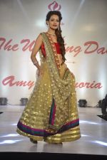 at Wedding Show by Amy Billiomoria in Mumbai on 28th Sept 2014 (450)_5429971560dfb.JPG