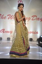 at Wedding Show by Amy Billiomoria in Mumbai on 28th Sept 2014 (451)_542997165c993.JPG