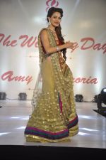 at Wedding Show by Amy Billiomoria in Mumbai on 28th Sept 2014 (452)_5429972cbeb0f.JPG