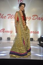 at Wedding Show by Amy Billiomoria in Mumbai on 28th Sept 2014 (453)_5429972d95bd2.JPG